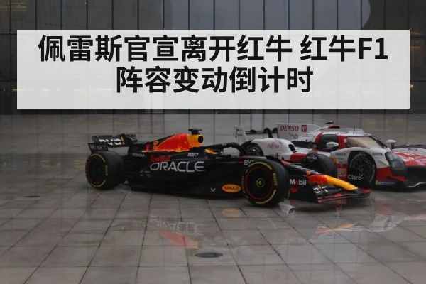 Red Bull F1 lineup
