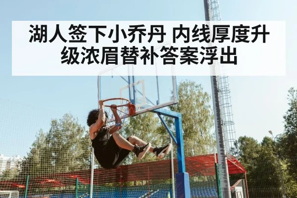 湖人签下小乔丹 内线厚度升级浓眉替补答案浮出